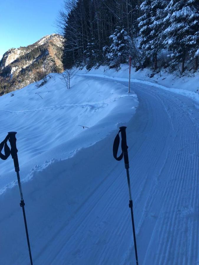 Kreiers Alp Lejlighed Hohenems Eksteriør billede